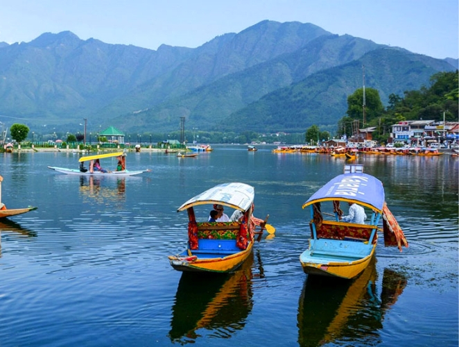 The Wings of Himachal
