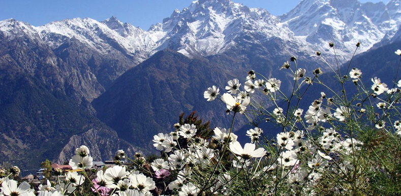 Kinnor Spiti with Manali Package Kinnor Spiti with Manali Package